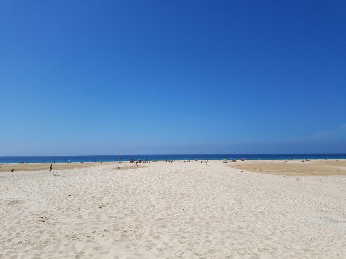 Rodeo Apartments Marbella Dış mekan fotoğraf